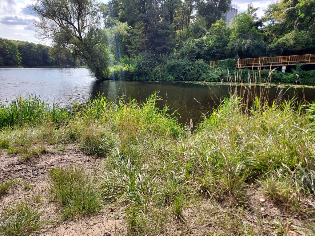 Stichkanal Halbinsel Teltowkanal