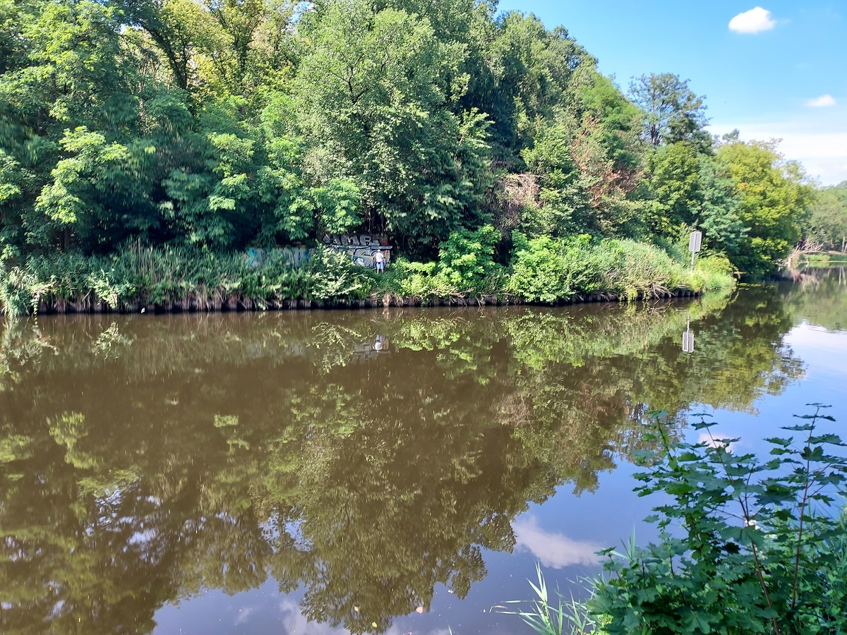 Schattiger Platz am Kanal | Ex Fritz-Schweitzer-Brücke