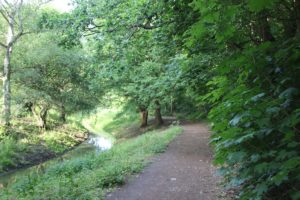 Wasser entlang der linken Bahnseite Stammbahn Zehlendorf