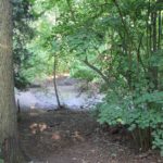 Blick auf trockenen Spandauer Teich Kleinmachnow