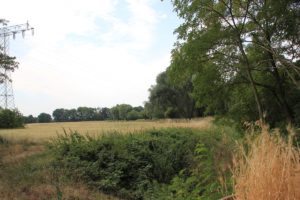 Röthepfuhlgraben Teltow