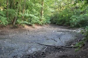 Trockener Grund Spandauer Teich Kleinmachnow