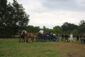 Kanonentransport Pferde Siegesfest Großbeeren 2022 Schlachtaufzug