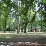 Lichter Park Schoenower Park Zehlendorf