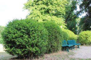 Parkbank hinter Gutshaus Lichterfelde