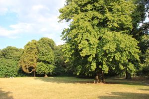 Schlosspark Lichterfelde