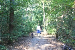 Hundeauslaufgebiet Krummes Fenn Düppel