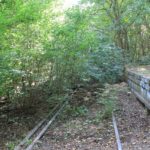 S Bahnhof Düppel im Krummen Fenn