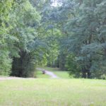 Wiese Krummes Fenn