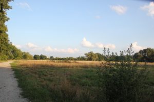 Hollandweg und Buschwiesen Teltow