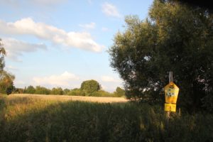 Landschaftsschutzgebiet Buschwiesen Teltow