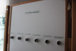 Schweinekrankheiten Deutsches Schweinemuseum Ruhlsdorf