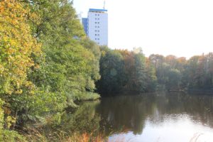 Stangenpfuhl Lichterfelde Thermometersiedlung