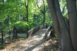 Brücke über Bäke Bäkewiese Kleinmachnow