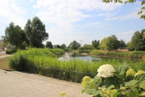 Aussichtspunkt Mühlendorf-See Teltow