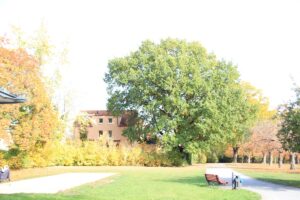 Boule Bahnen Lilienthal-Park Lichterfelde
