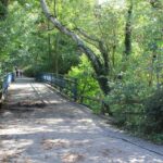 Brücke Nordende Krumme Lanke