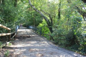 Brücke Nordende Krumme Lanke