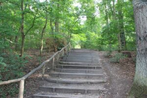 Treppe Krumme Lanke