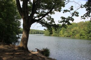 Zugang zum Wasser Krumme Lanke