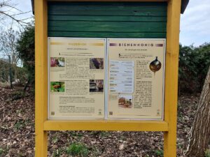 Infotafel Bienen Röthepfuhl Ruhlsdorf bei Teltow