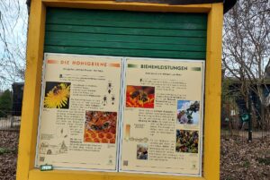 Infotafel Bienen Röthepfuhl Ruhlsdorf bei Teltow4