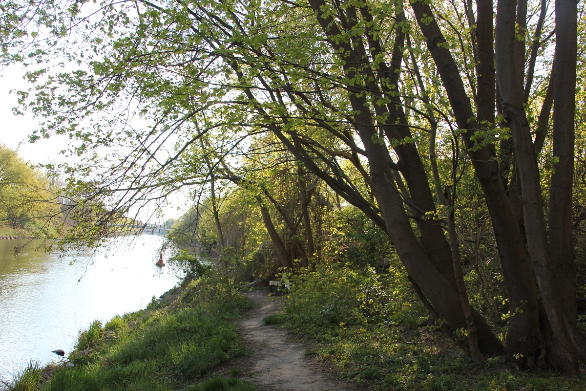 Trampelpfad zur Bank am Teltowkanal bei Teltow-Werft