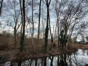 Wassergraben zur Insel Röthepfuhl Ruhlsdorf bei Teltow