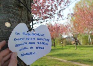 Zettel an den Bäumen Kirschblütenallee Teltow