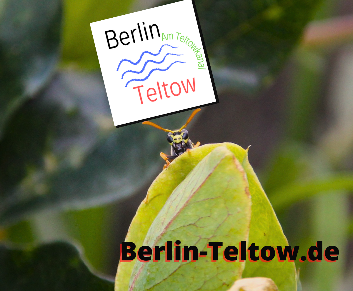 In eigener Sache: Ein Jahr Berlin-Teltow.de