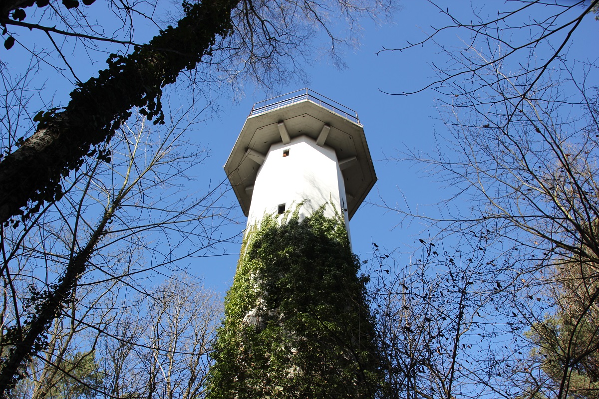 Was ist der Rapunzelturm im Grunewald?