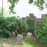 Verwilderter Friedhof Dorfkirche Genshagen