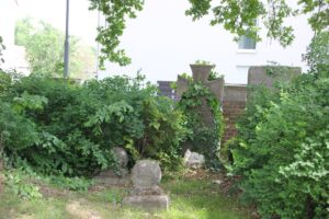 Verwilderter Friedhof Dorfkirche Genshagen