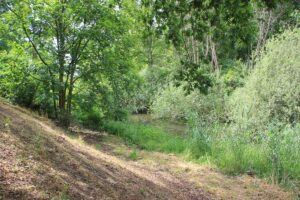 Absenkung Buschgraben Zehlendorf Kleinmachnow