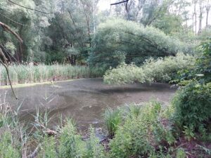 Bäke Naturschutzgebiet