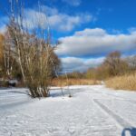 Buschgraben Zugefroren Zehlendorf Kleinmachnow