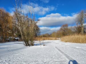 Buschgraben Zugefroren Zehlendorf Kleinmachnow