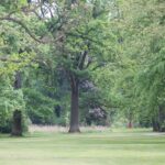 Tiefer Blick in Schlosspark Genshagen