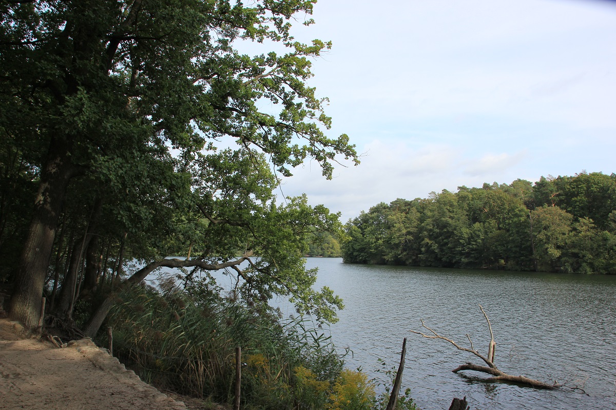 Schlachtensee: Baden, Natur und Entspannung