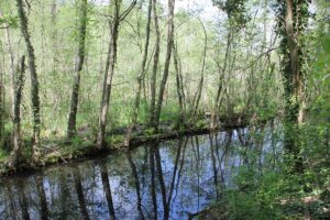 Fennkanal Langes Luch Grunewald Berlin