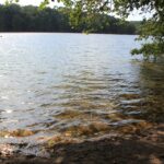 Gelbes Wasser Schlachtensee