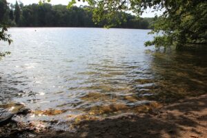 Gelbes Wasser Schlachtensee