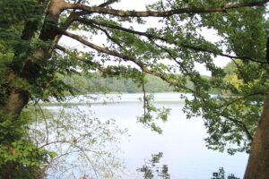 Naturidylle Schlachtensee