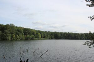 Schlachtensee Berlin Steglitz-Zehlendorf