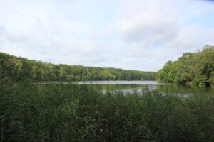 Ufer Schlachtensee