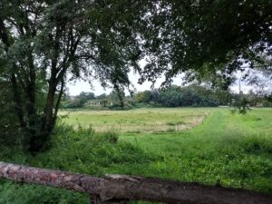 Mulde vom ehemaligen Schönower See Zehlendorf