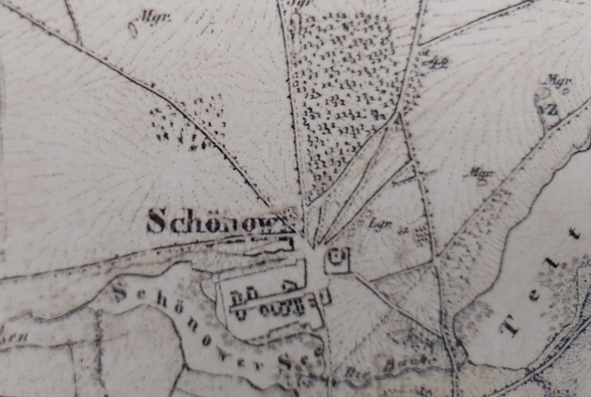 Schönower See Karte