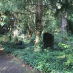 Gräber Selbstmörderfriedhof Grunewald
