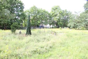 Friedhof Schönow