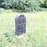 Friedhof Schönow Grab Strauch